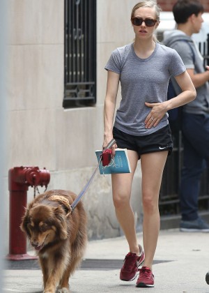 Amanda Seyfried With her dog Out in NYC
