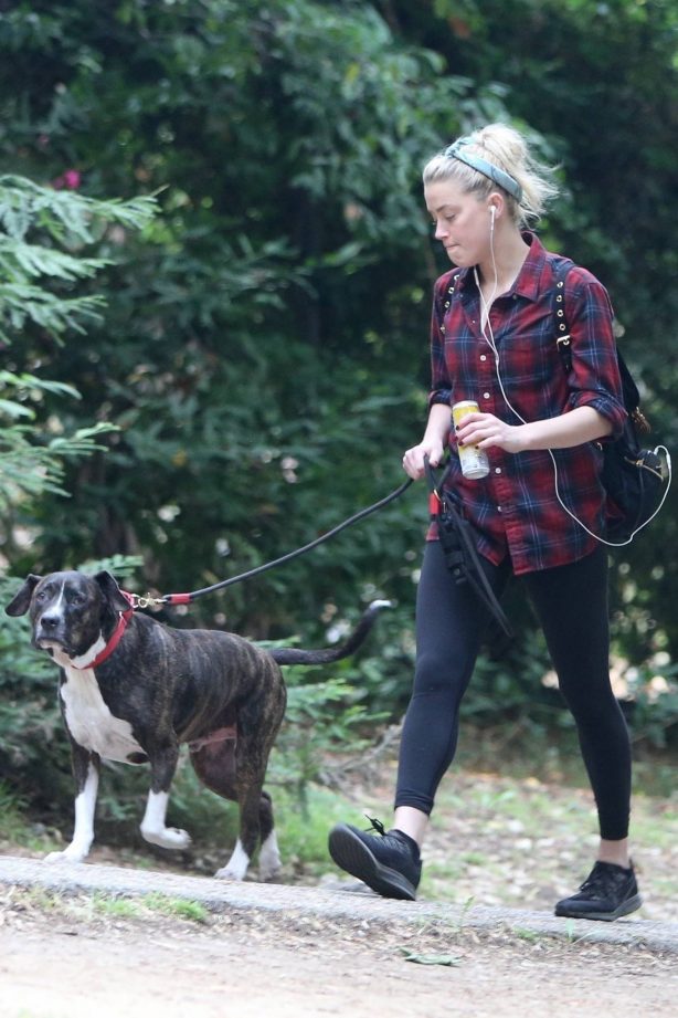 Amber Heard - Out for a hike with her dog in Los Feliz - California