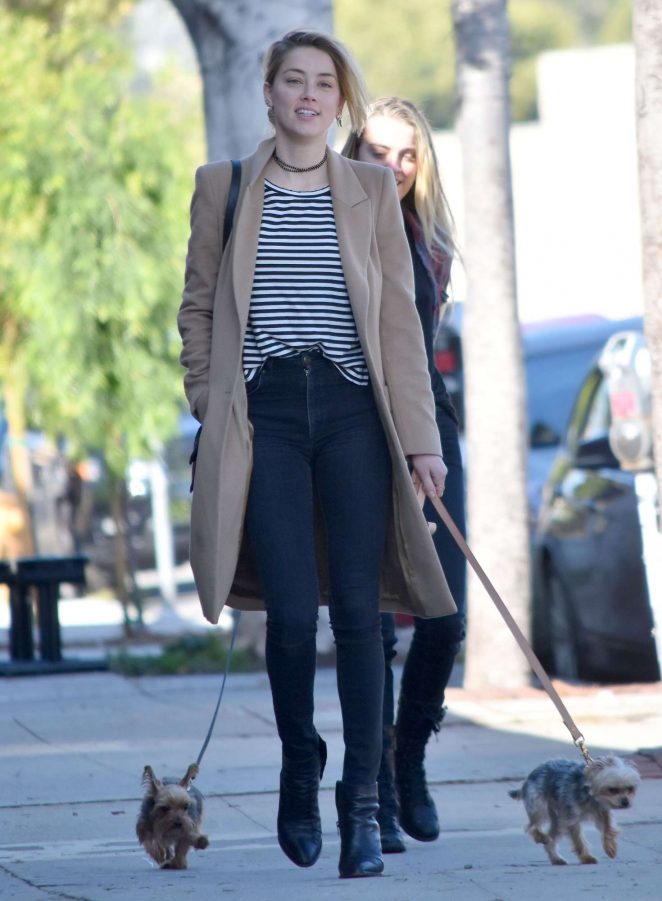 Amber Heard with her dogs out in Los Feliz
