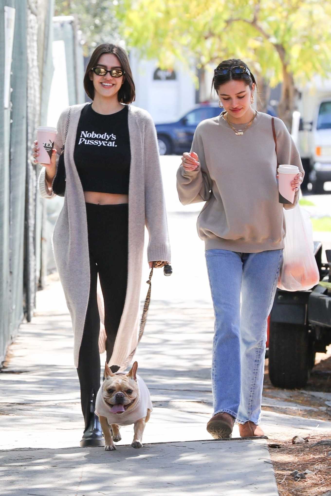 Amelia And Delilah Belle Hamlin â€“ Heading To Farmerâ€™s Market With Their Dog In Los Angeles