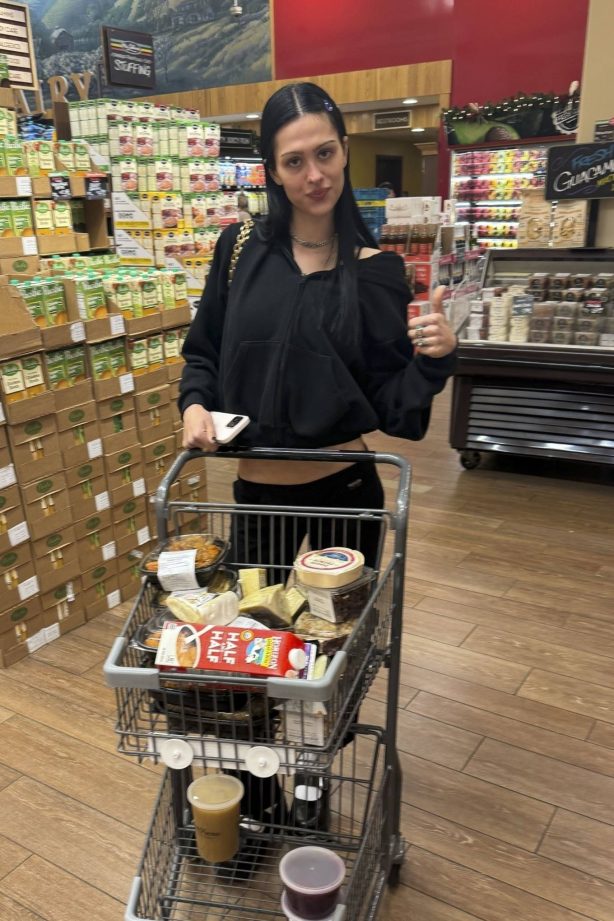 Amelia Gray Hamlin - Shopping for Thanksgiving at Bristol Farms in Beverly Hills