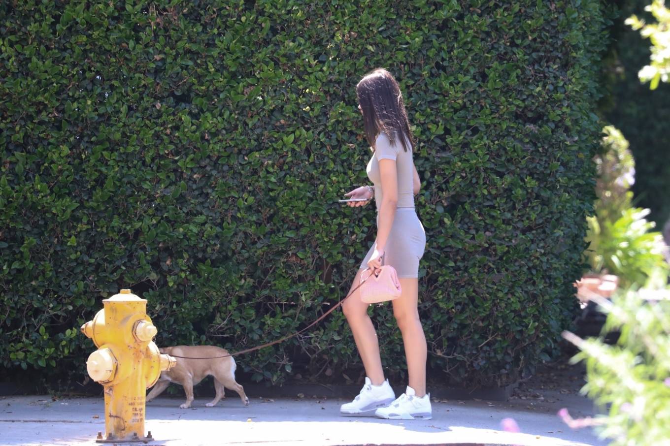 Amelia Hamlin 2021 : Amelia Hamlin – Seen walking her dog in Los Angeles-04
