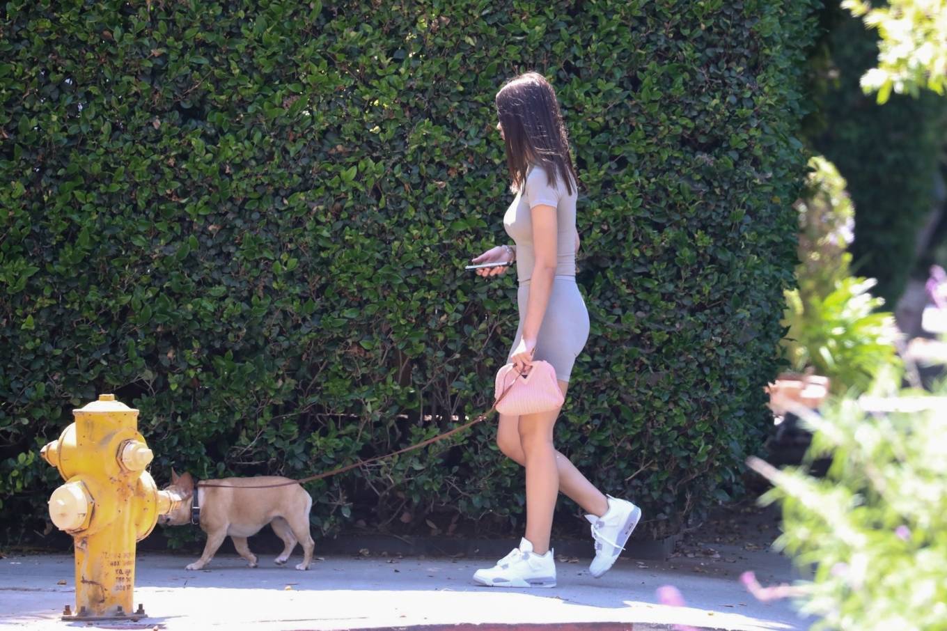 Amelia Hamlin 2021 : Amelia Hamlin – Seen walking her dog in Los Angeles-05