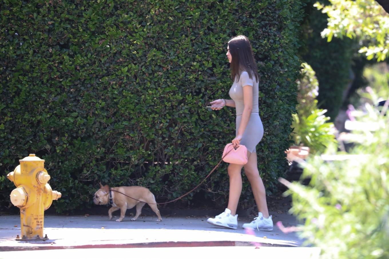 Amelia Hamlin 2021 : Amelia Hamlin – Seen walking her dog in Los Angeles-13
