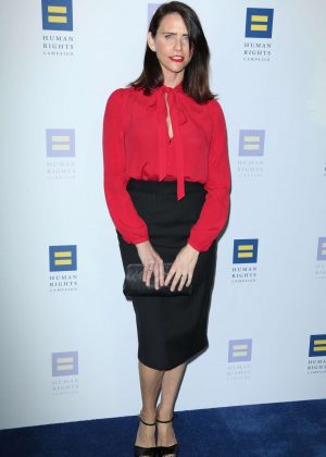 Amy Landecker - Human Rights Campaign Gala Dinner 2017 in Los Angeles