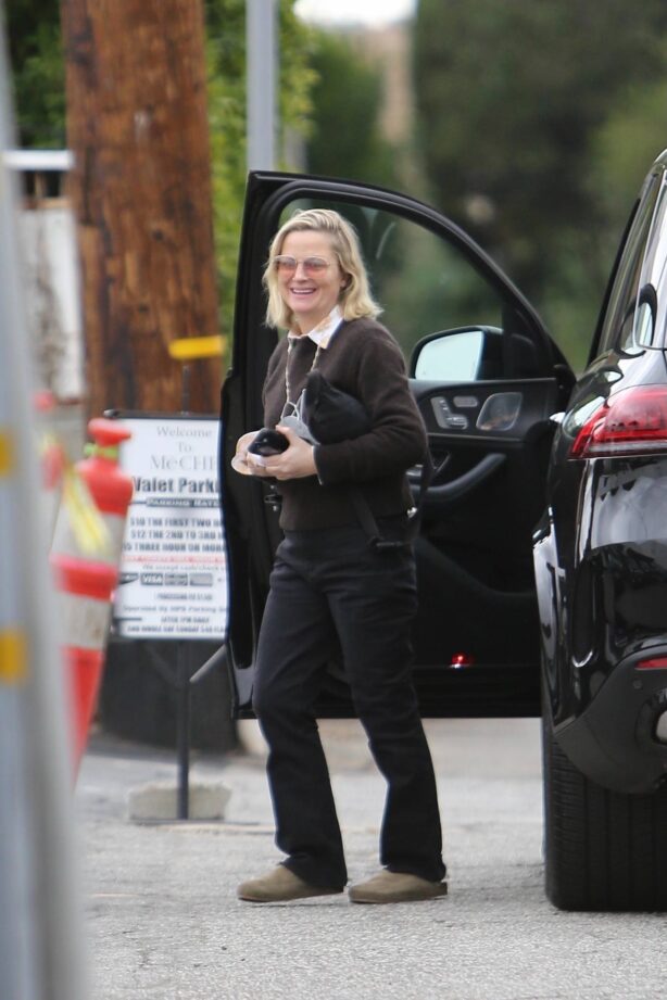 Amy Poehler - Arriving at a hair salon appointment in Beverly Hills