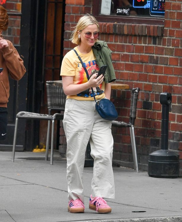 Amy Poehler - Is seen on a stroll in New York