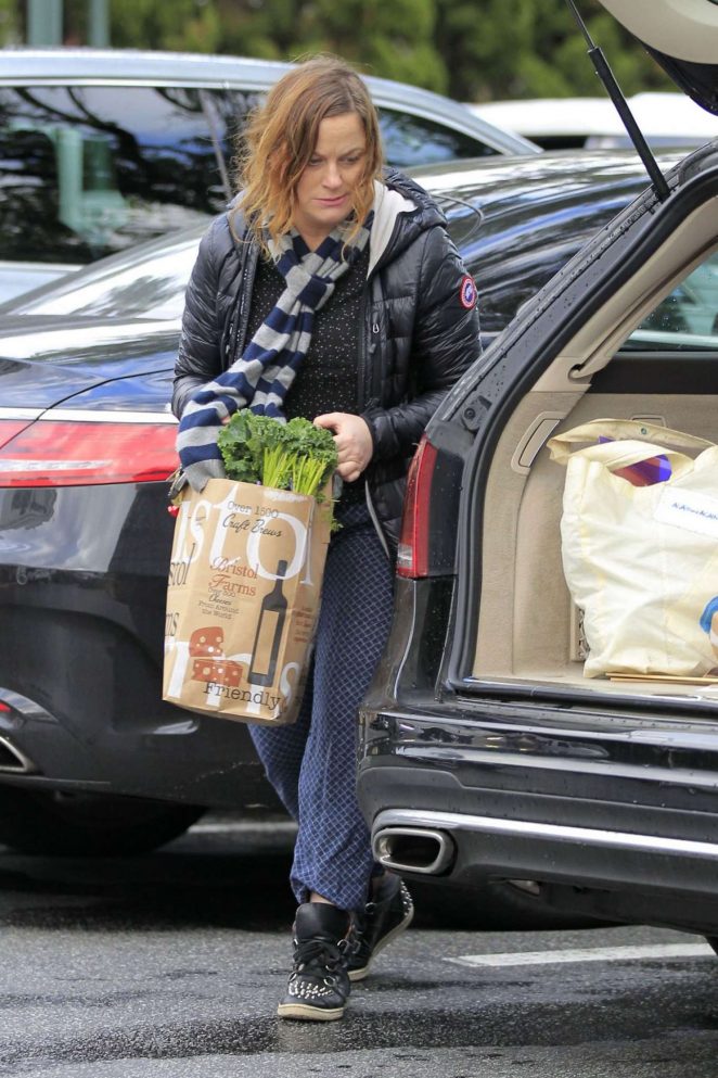 Amy Poehler Out Shopping in Los Angeles