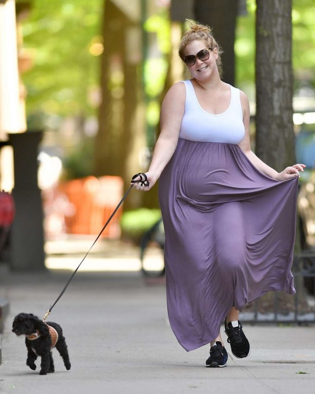 Amy Schumer in Long Dress - Walking her dog Tati in New York City