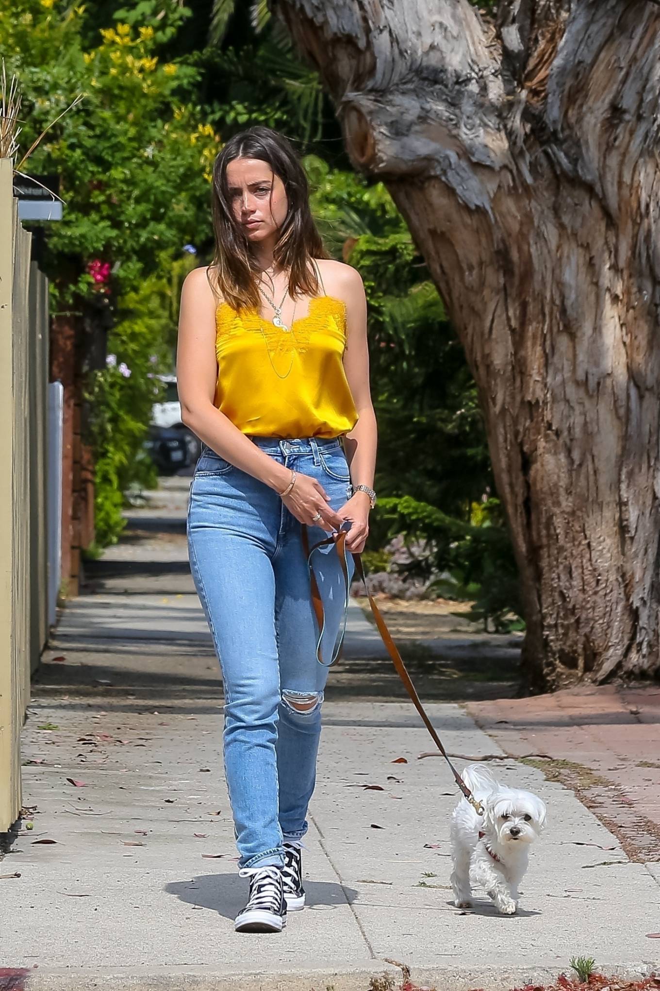 Ana De Armas in Yellow Top out with her dog in Venice-04 | GotCeleb