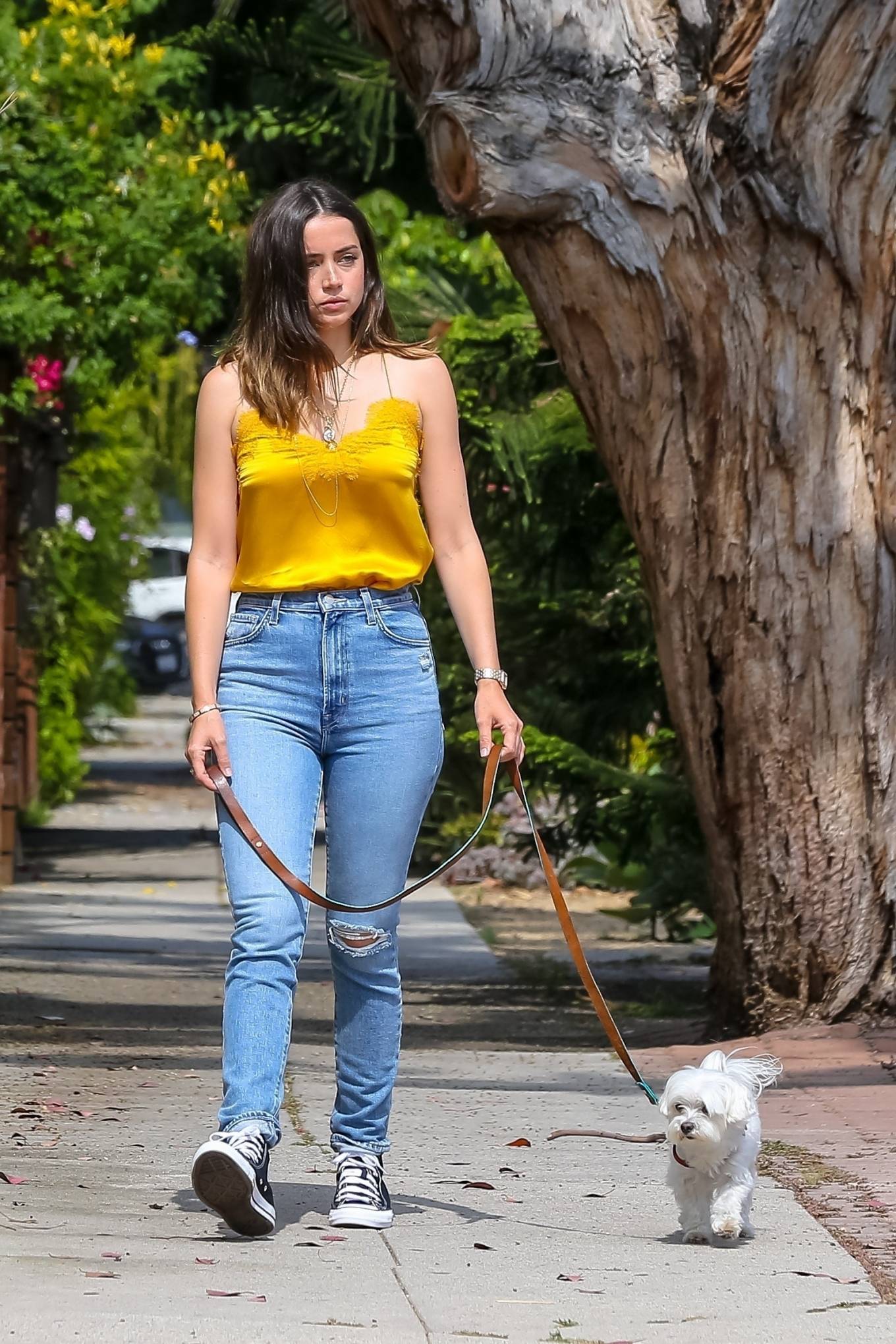 Ana De Armas in Yellow Top out with her dog in Venice-08 | GotCeleb