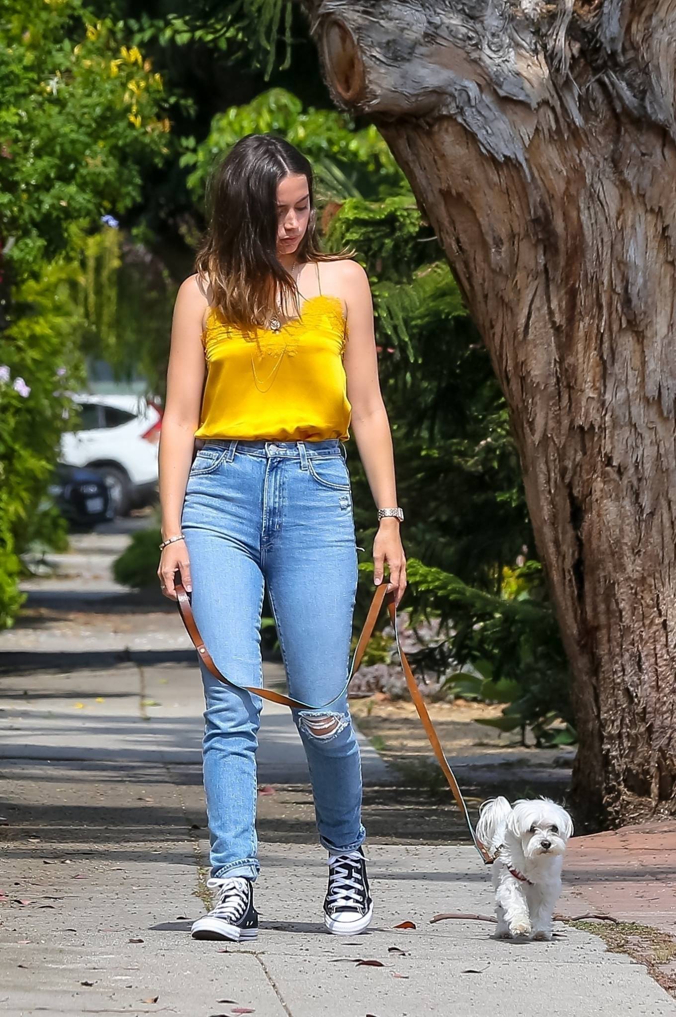 Ana De Armas in Yellow Top out with her dog in Venice-15 | GotCeleb