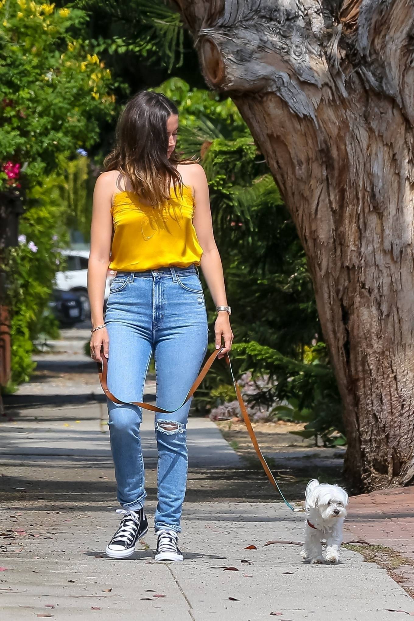Ana De Armas in Yellow Top out with her dog in Venice-22 | GotCeleb