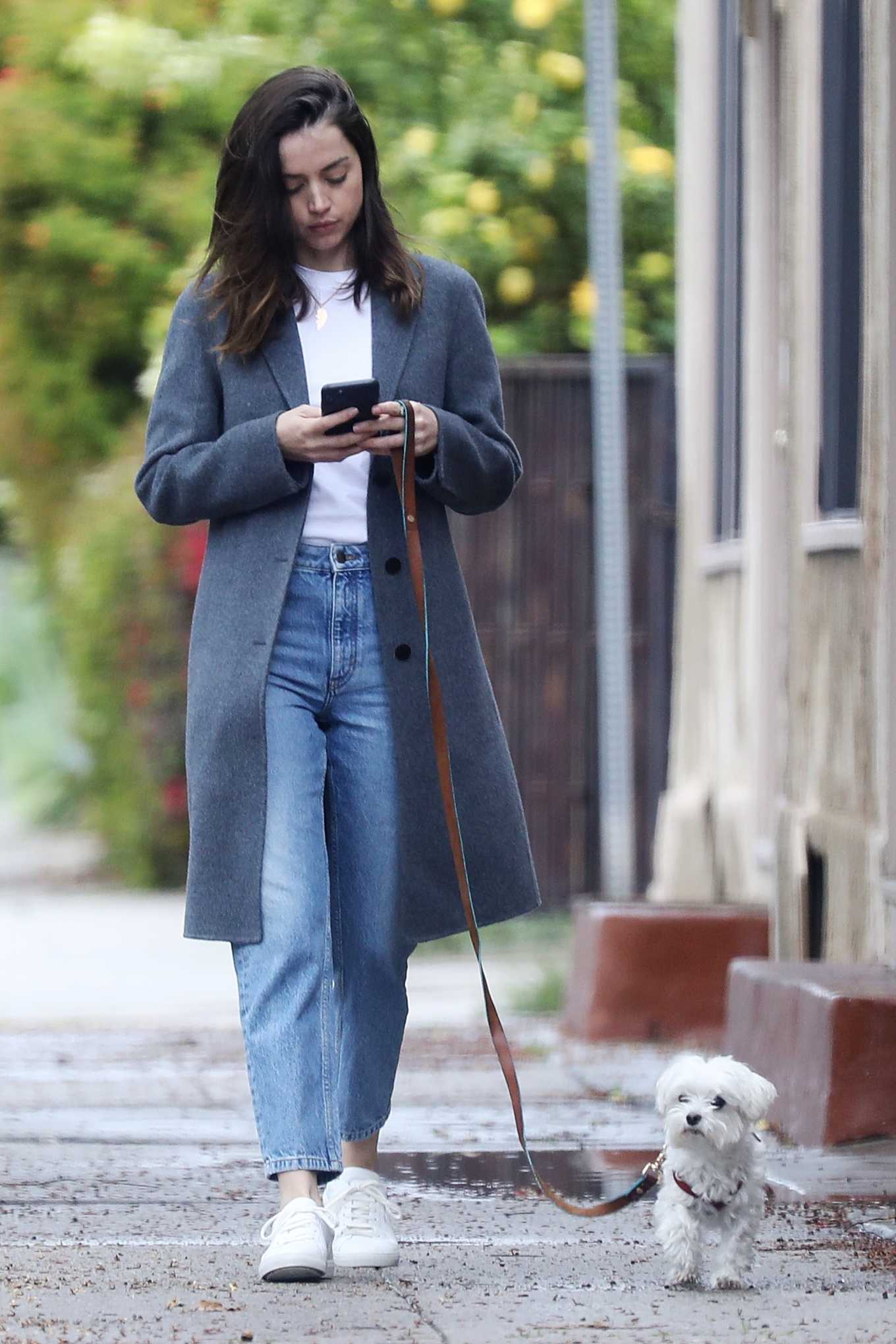 Ana De Armas â€“ Out with her cute dog in Los Angeles