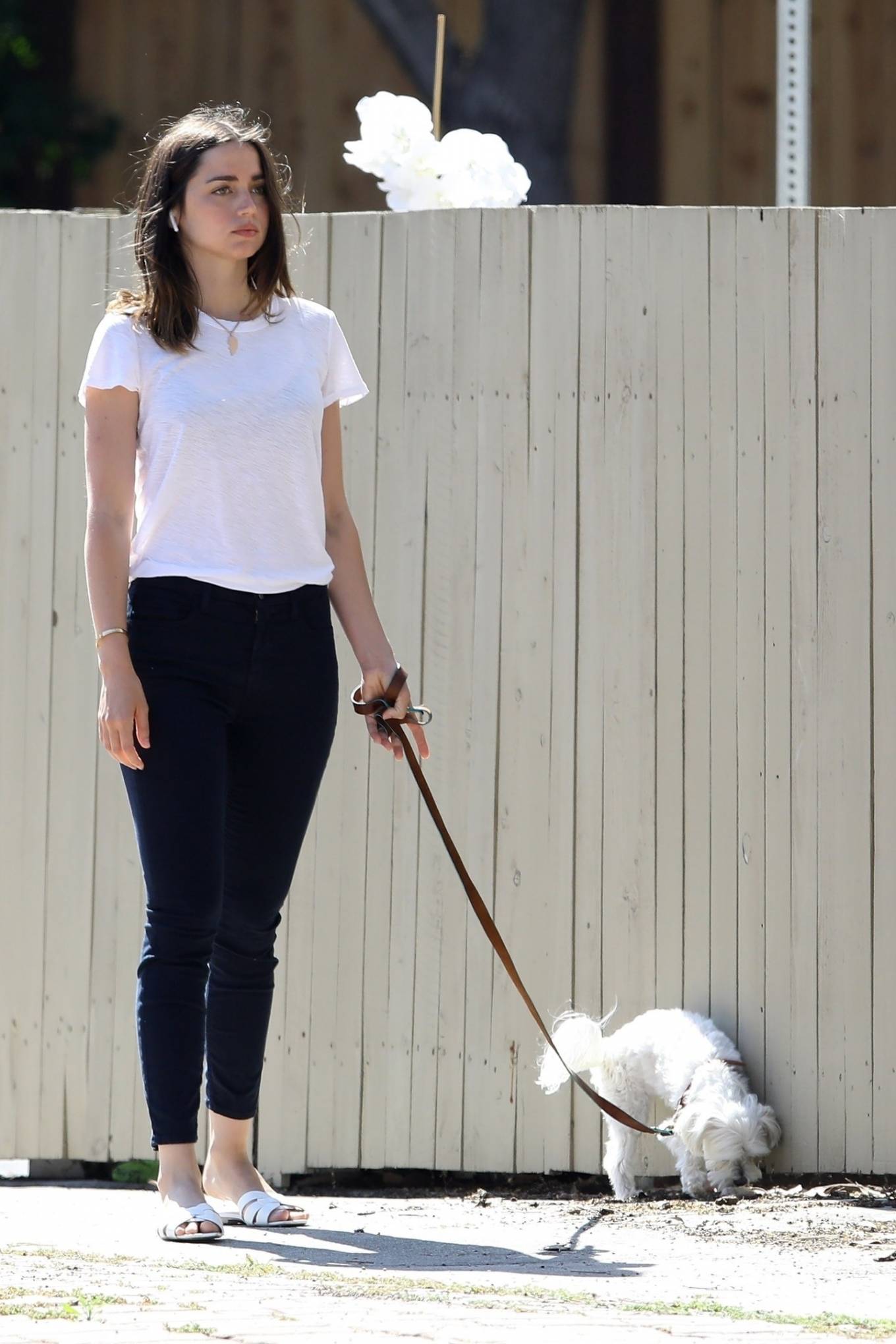 Ana de Armas â€“ walking her dog in Venice