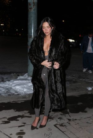 Anastasia Karanikolaou - Out for dinner with friends in Aspen