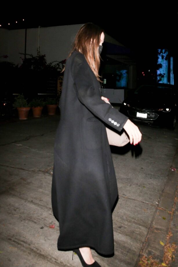 Angelina Jolie - Steps out with her Ex-husband Jonny Lee Miller for a dinner in Beverly Hills