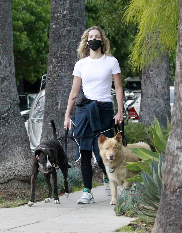 Annabelle Wallis - Jogging with her dogs in Los Angeles