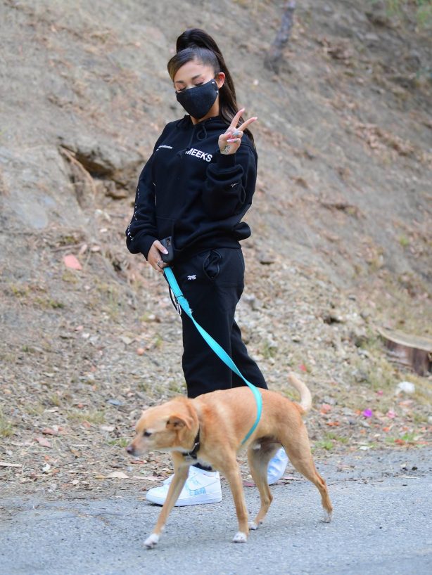 Ariana Grande - Walking Toulouse in Los Angeles