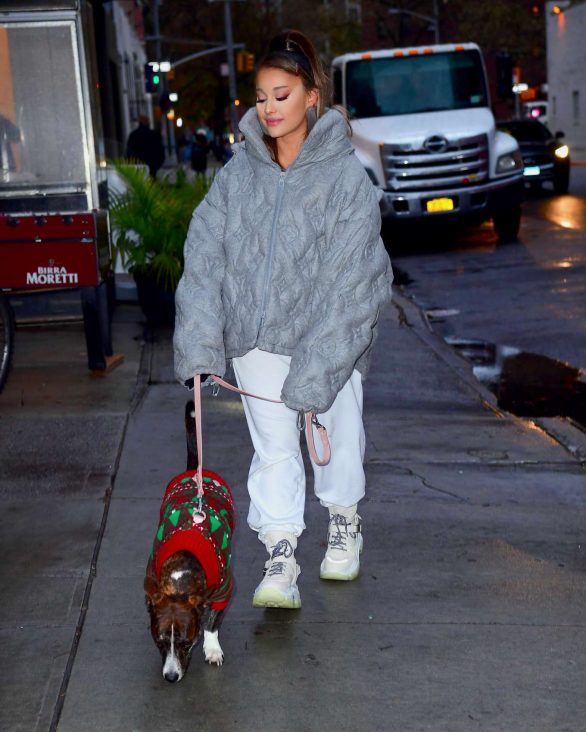 Ariana Grande with her dog out in New York City