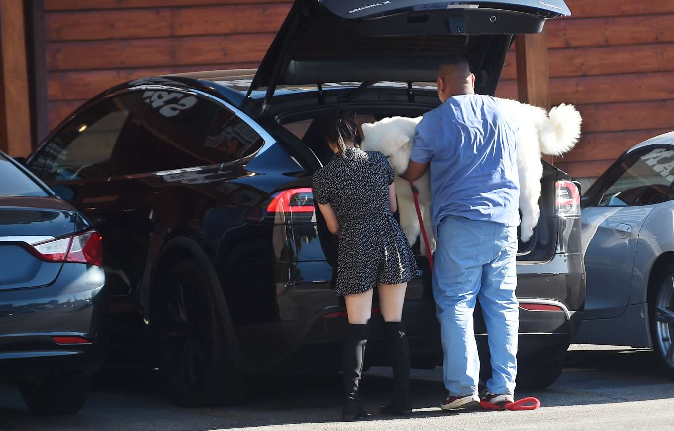 Ariel Winter â€“ Rushes her dog to the animal hospital in Los Angeles