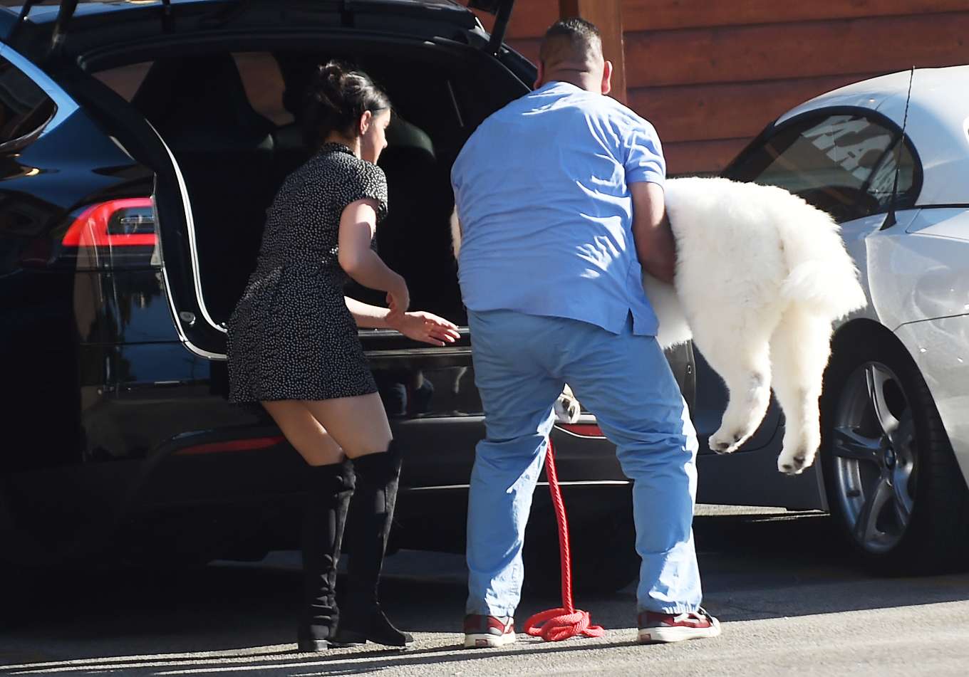 Ariel Winter â€“ Rushes her dog to the animal hospital in Los Angeles