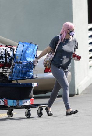 Ariel Winter - Spotted outside Petco in Los Angeles