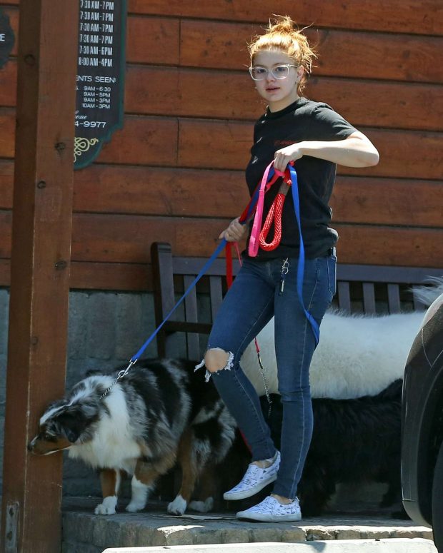 Ariel Winter - Takes her dog's to the vet in Sherman Oaks