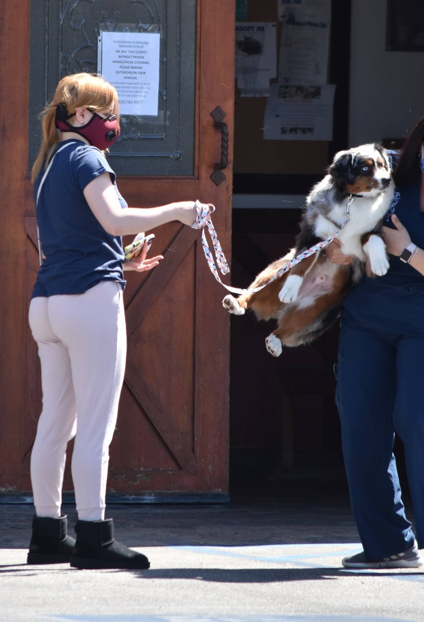 Ariel Winter â€“ Takes her dog to a veterinarian clinic in Studio City