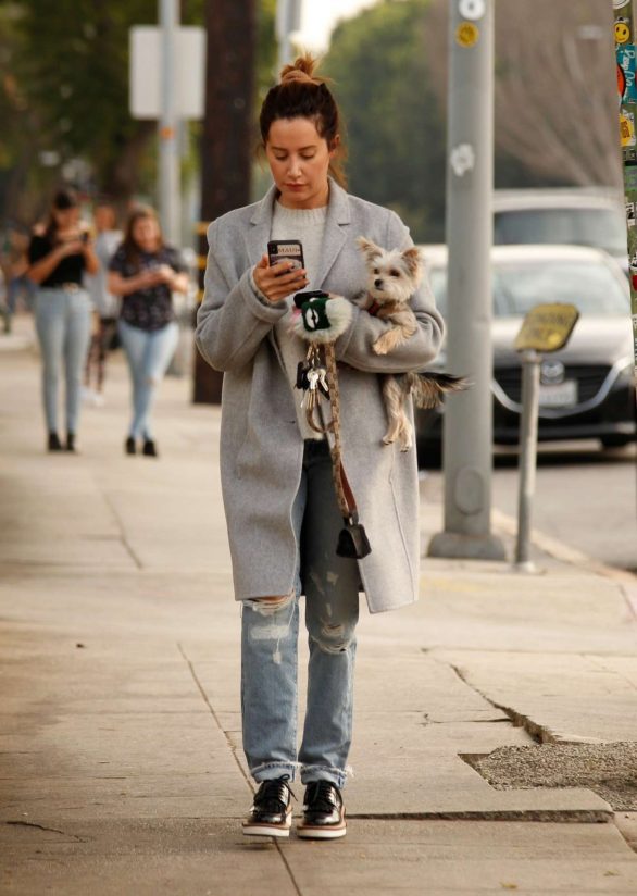 Ashley Tisdale in a grey downcoat in Los Angeles