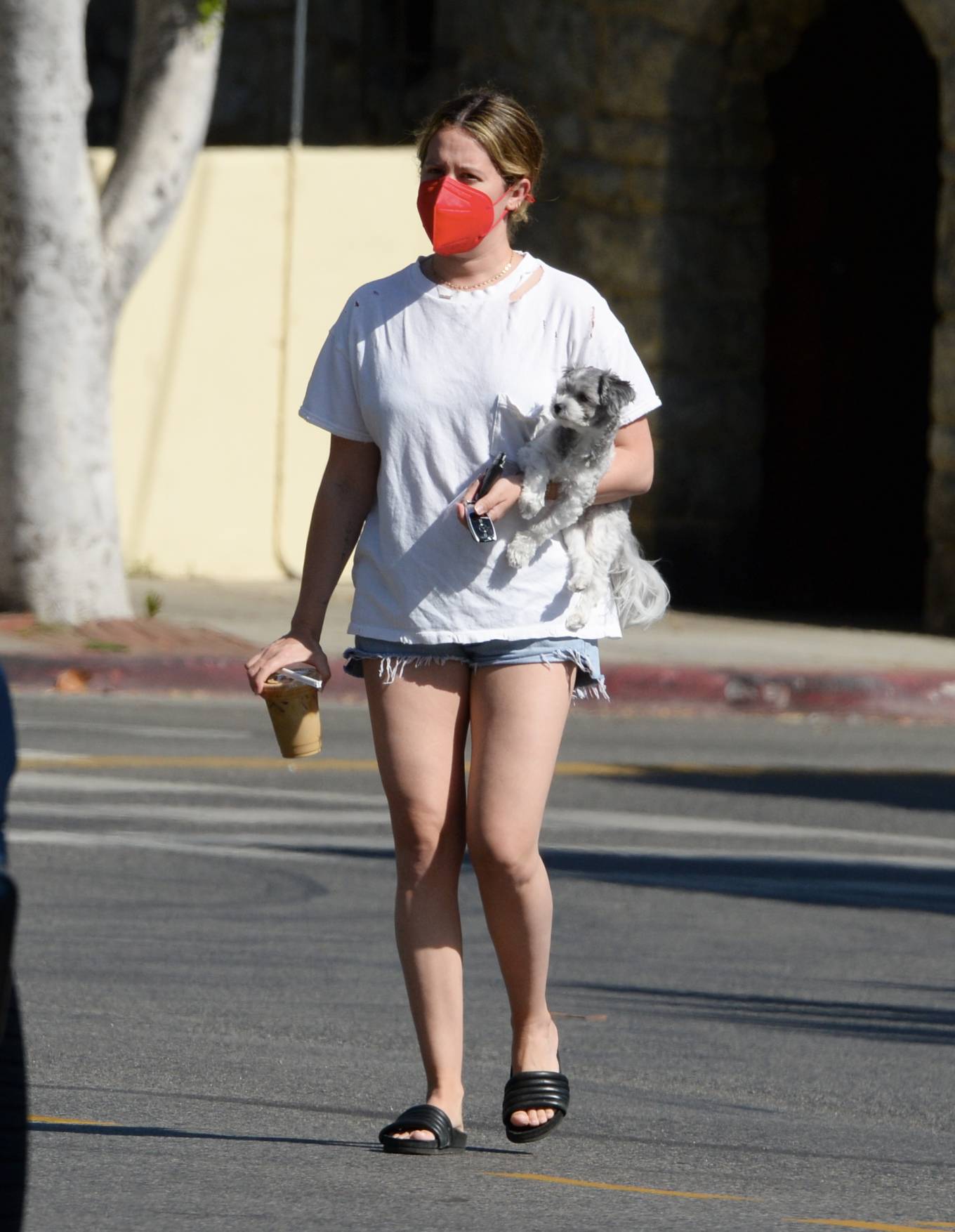 Ashley Tisdale 2021 : Ashley Tisdale – Out in Los Angeles with her little pooch-01