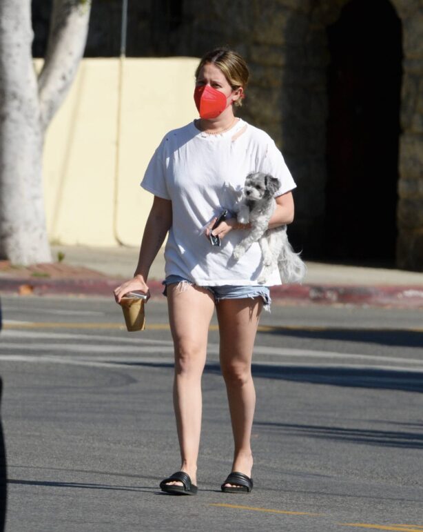 Ashley Tisdale - Out in Los Angeles with her little pooch
