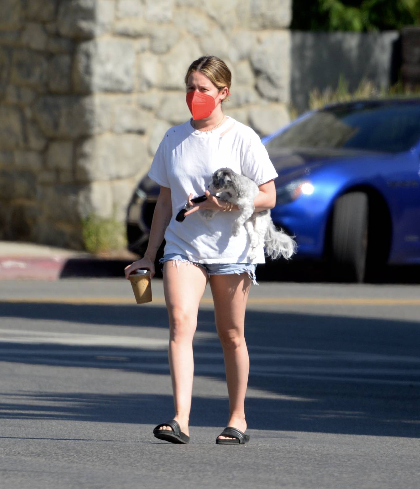 Ashley Tisdale 2021 : Ashley Tisdale – Out in Los Angeles with her little pooch-06