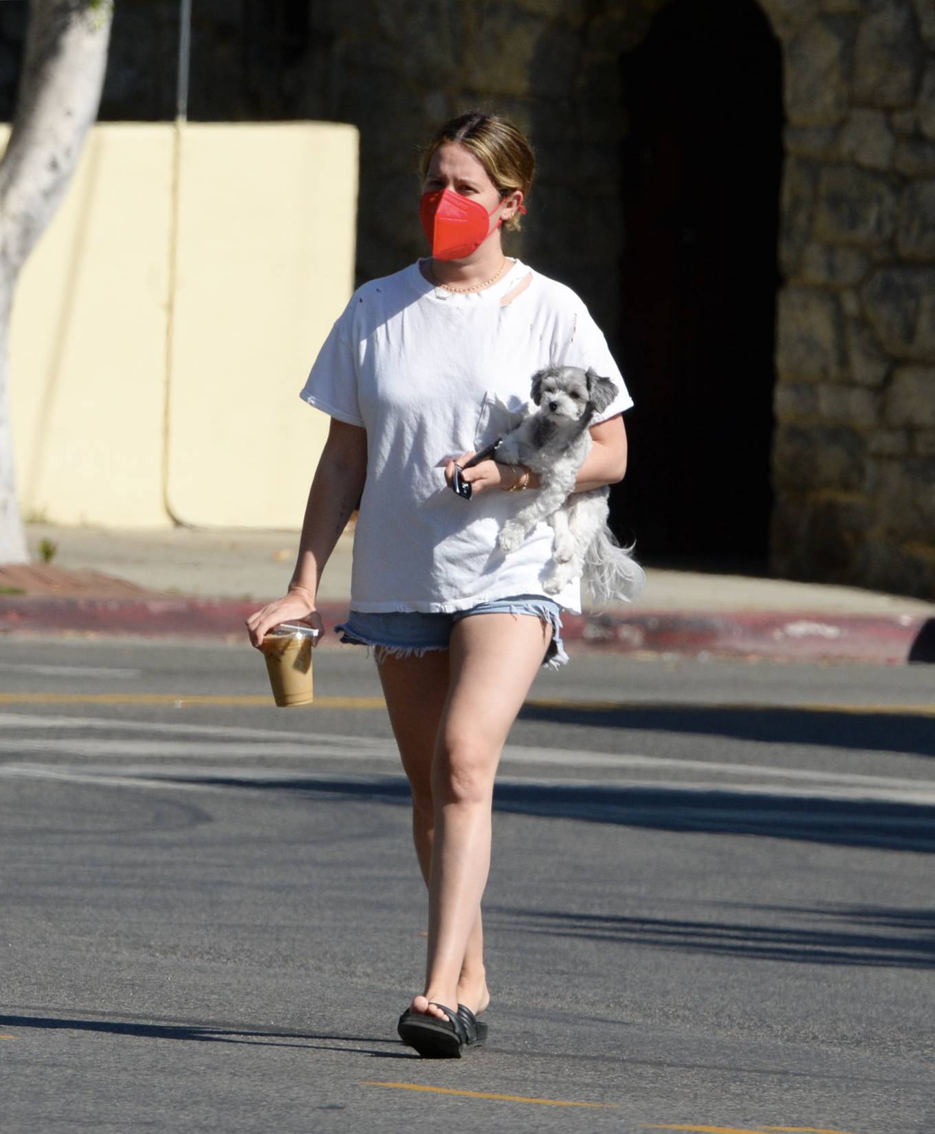 Ashley Tisdale 2021 : Ashley Tisdale – Out in Los Angeles with her little pooch-15
