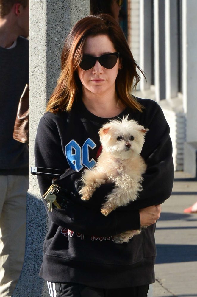 Ashley Tisdale - Out with her dog in Venice Beach