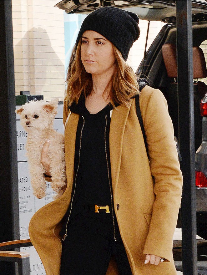 Ashley Tisdale with her puppy out in Los Angeles