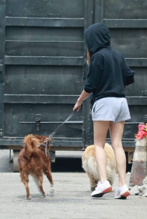 Aubrey Plaza - In shorts out for a stroll with her two dogs in Los Feliz