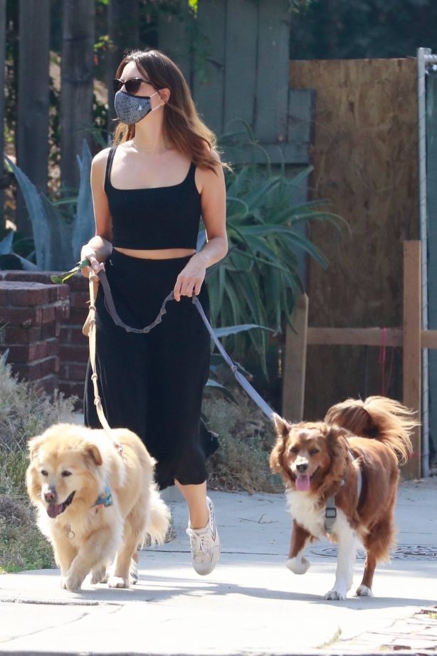 Aubrey Plaza - Spotted while walking her dogs in Los Angeles