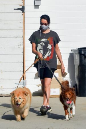 Aubrey Plaza - Takes her dogs for a walk in Los Feliz