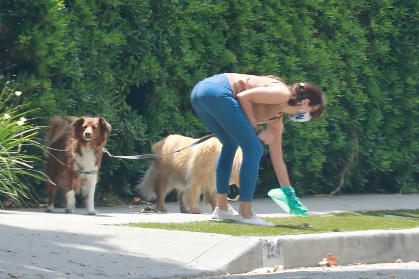 Aubrey Plaza 2020 : Aubrey Plaza - Takes her dogs for a walk in Los Feliz-1...