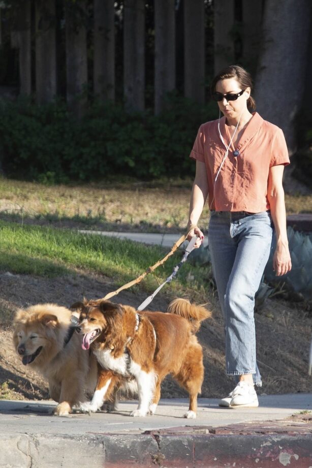 Aubrey Plaza - Takes her rescue dogs for a walk on a hot Los Angeles