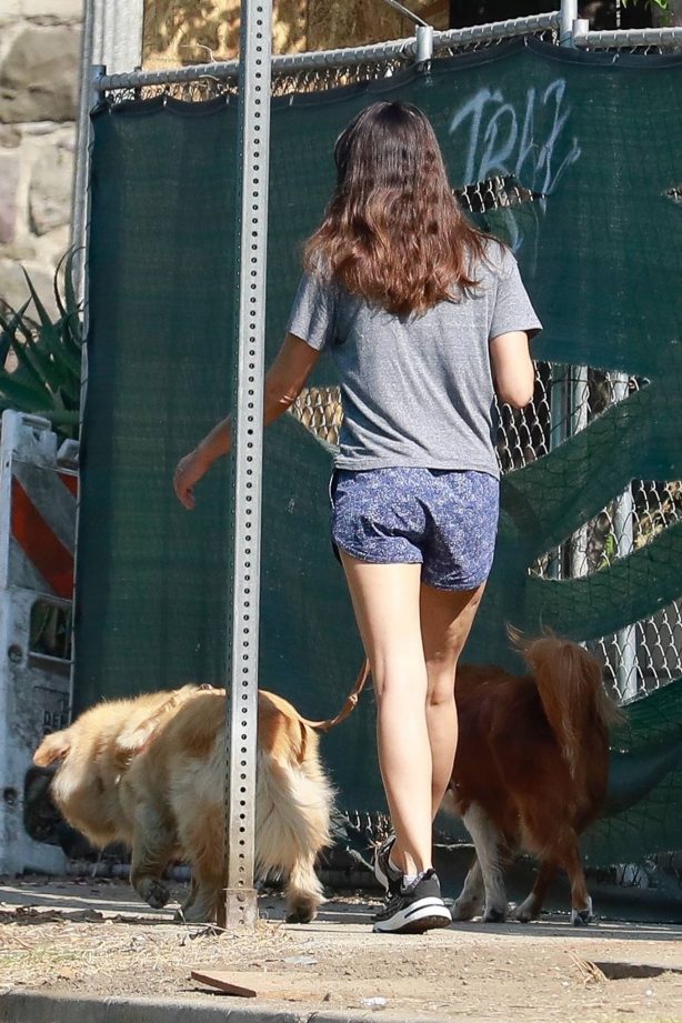 Aubrey Plaza takes her two dogs out for a morning walk