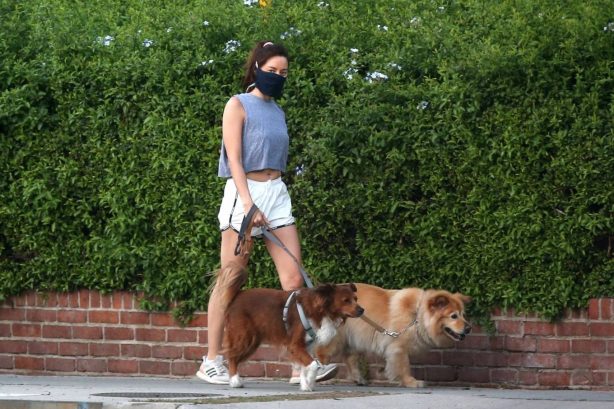 Aubrey Plaza - Wearing shorts and walking her dogs in Los Angeles