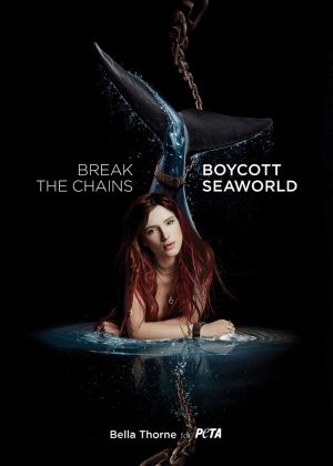 Bella Thorne - PeTA Campaign against Sea World (July 2018)