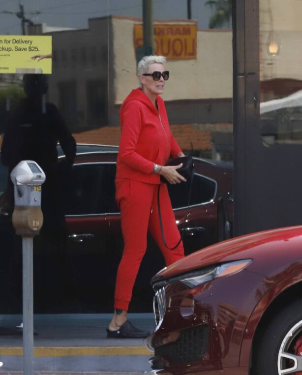 Brigitte Nielsen - Running errands in Los Angeles