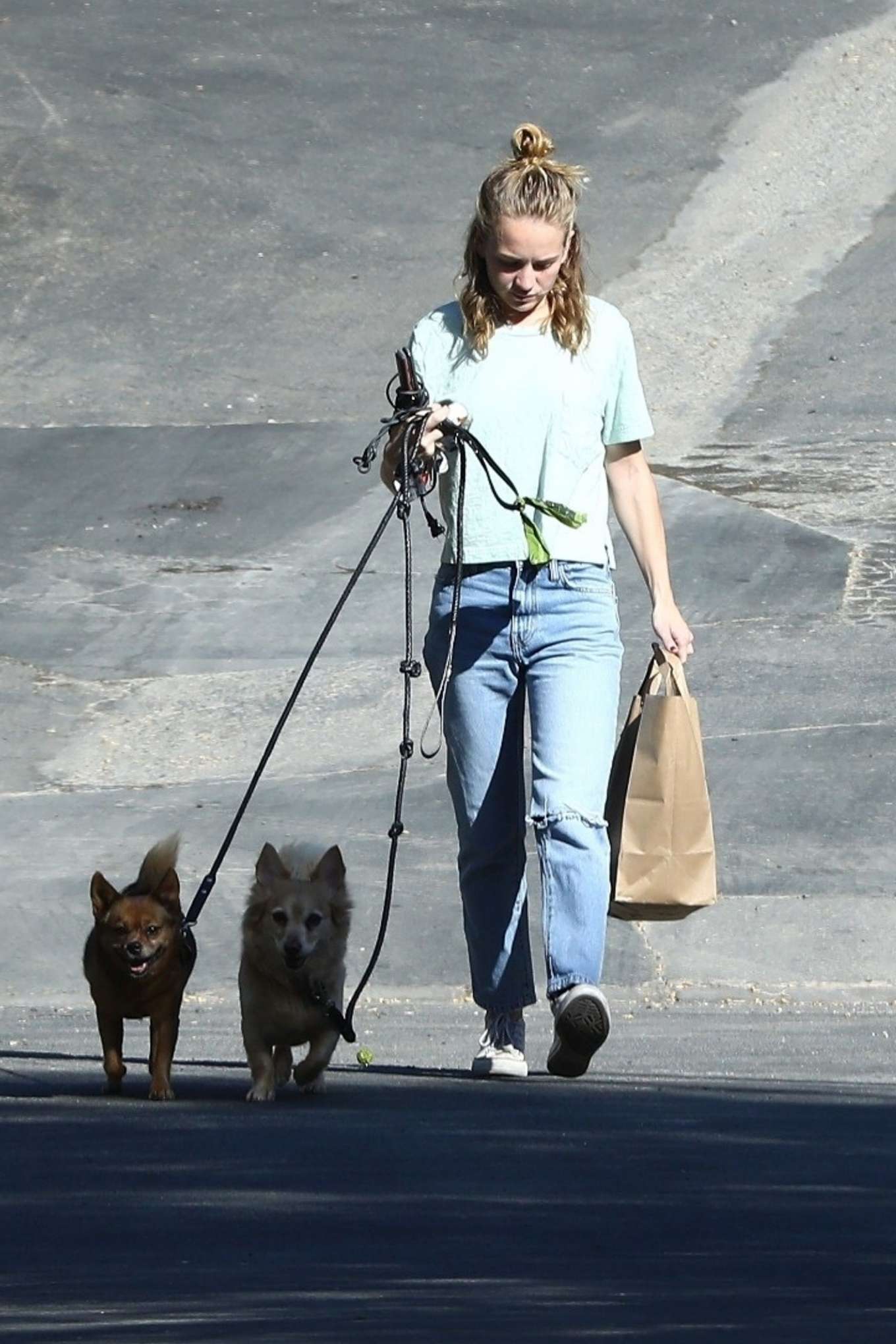 Britt Robertson â€“ Walking her dogs in Los Angeles