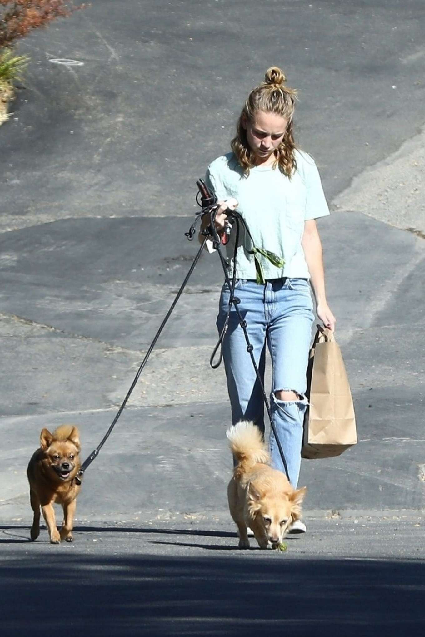 Britt Robertson â€“ Walking her dogs in Los Angeles
