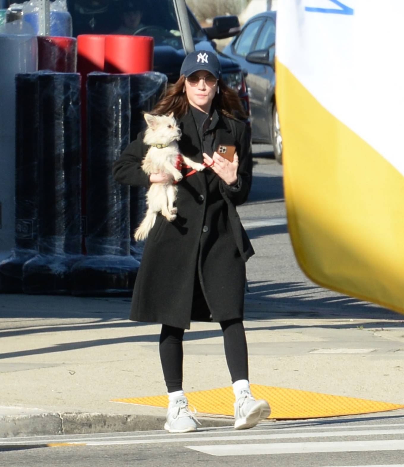 Brittany Snow - Taking a walk with her dog in Los Angeles