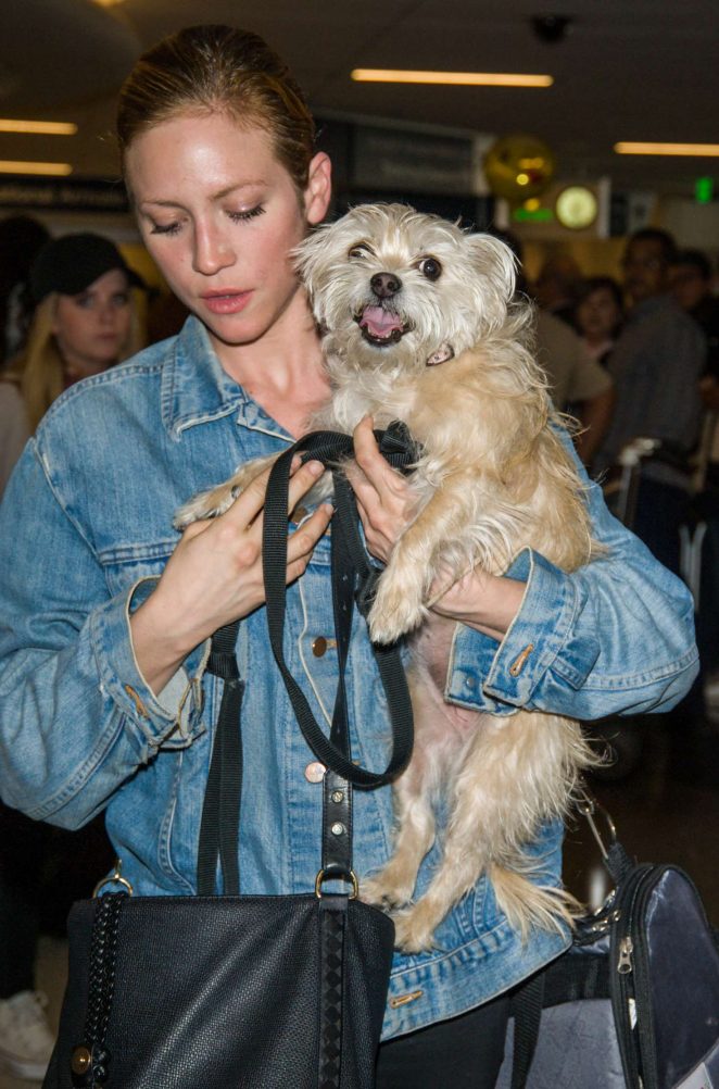 Brittany Snow with her dog at LAX airport in Los Angeles