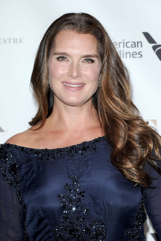 Gala co-chair Brooke Shields attends the 2016 American 